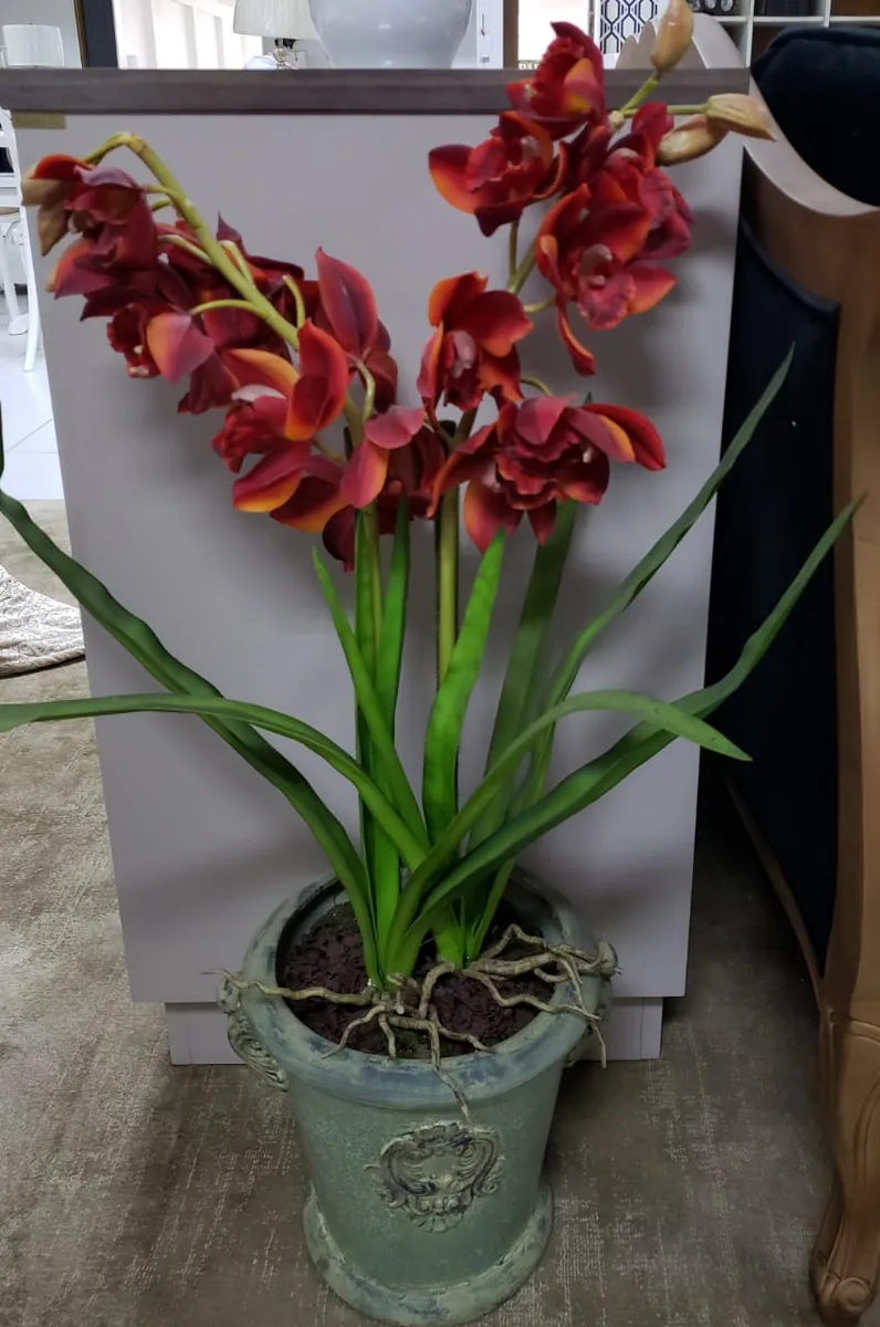 ARRANJO CHALE KALE 18913 ORQ. CYMBIDIUM  REF:18913 2