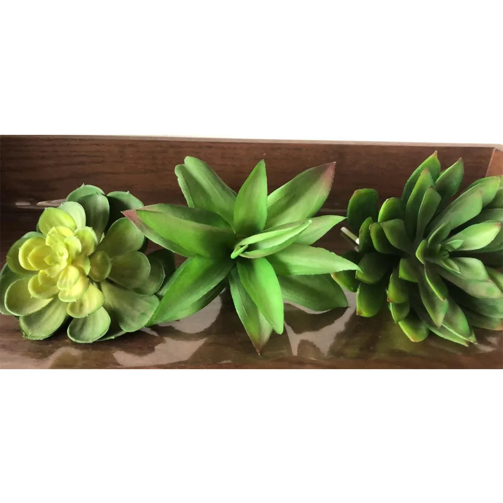 SUCULENTA ECHEVERIA CHALE KALE 11807VD ROSA DE PEDRA 14CM VERDE