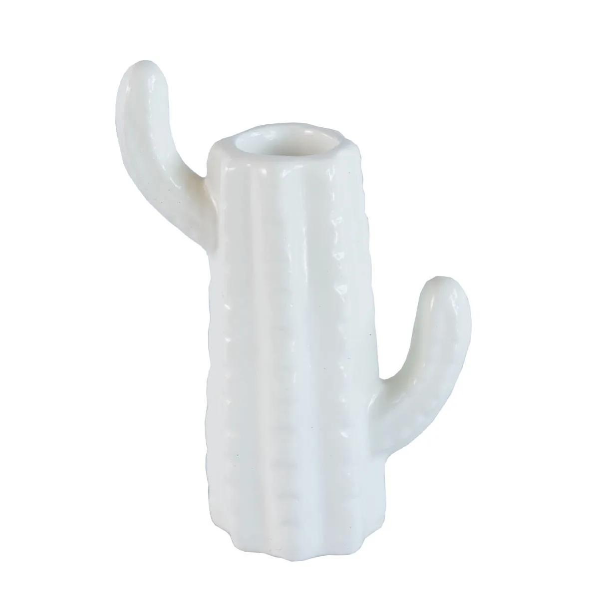 PORTA TRECO KLEINER SCHEIN CAQ004U CACTO ALTO BRILHO BRANCO