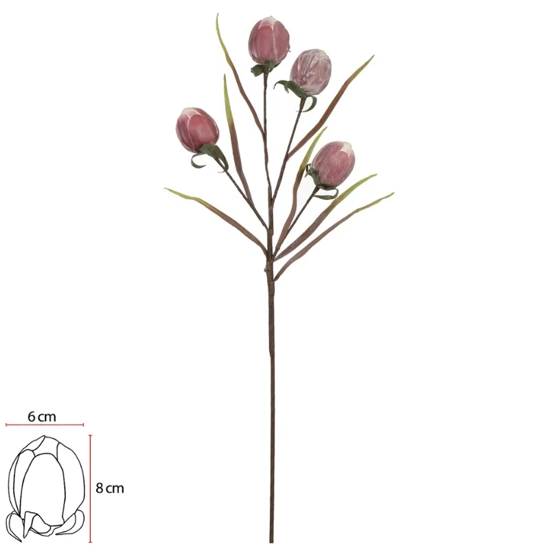Flor protea florarte 89366003 eva vermelho outono (bl)