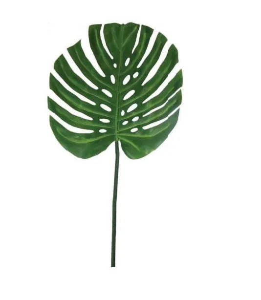 FOLHA UNIQUE 111876 G COSTELA DE ADAO