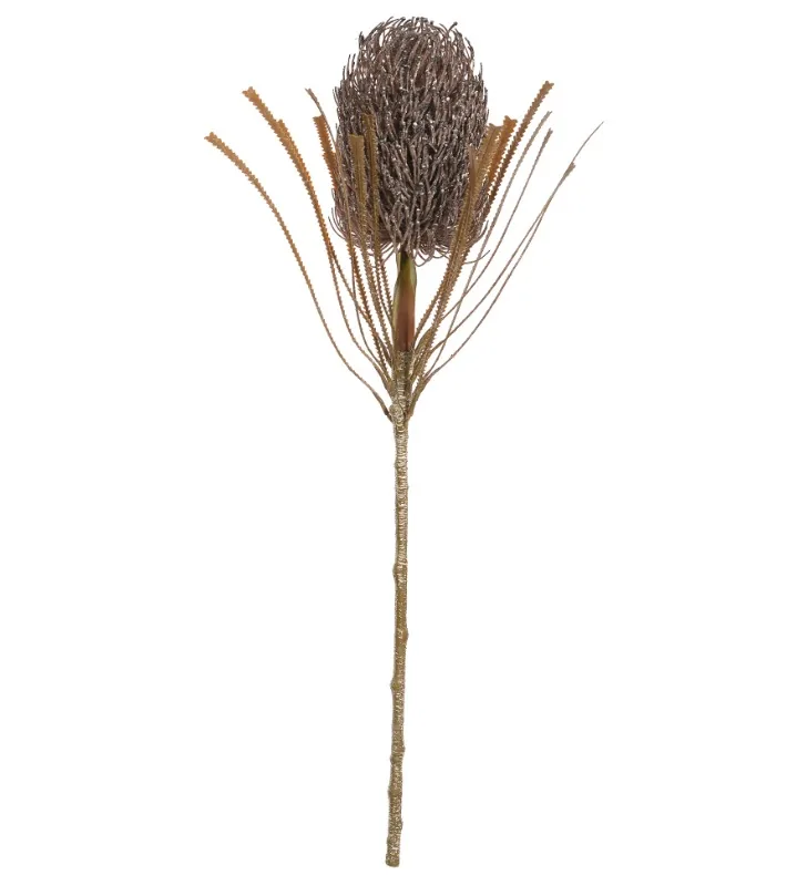 Flor protea florarte 86844002 marrom outono (bl)