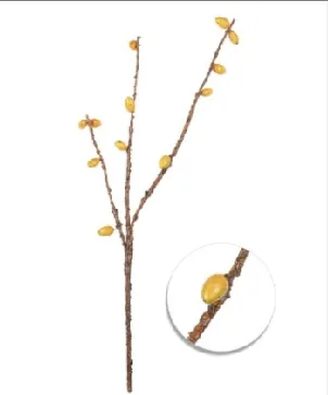 HASTE BRILLANCE SERIGUELA X3 79CM(BL)