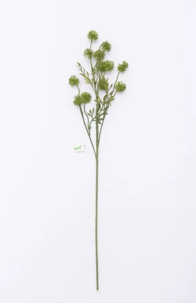 HASTE VERTI DENTE DE LEAO VERDE(BL)
