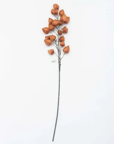 HASTE VERTI BUNGANVILIA 86762TERRACOTA 99CM(BL)