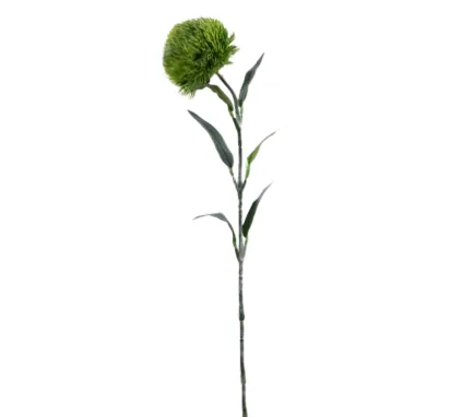 HASTE BRILLIANCE PAPIRO HF240(BL)
