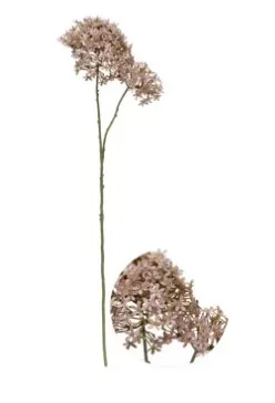 HASTE BRILLIANCE FLOR CAMPO HF208(BL)