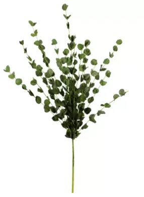 BUQUE BRILLIANCE EUCALIPTO MX226 58CM(BL)
