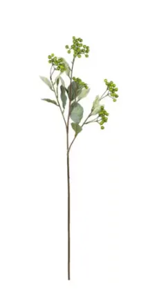 HASTE BRILLANCE BERRY GREEN MX7993 70CM(BL)