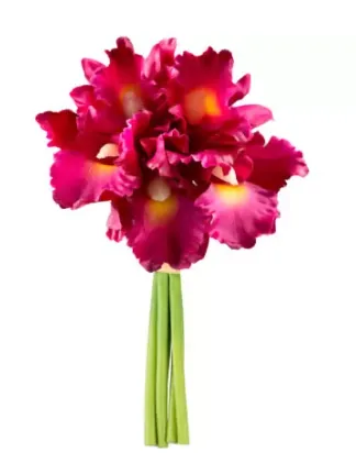 RAMALHETE BRILLIANCE MAGENTA MX848 25CMBL)