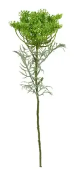 FLOR BRILLIANCE CENOURA VERDE MX316 65CM(BL)