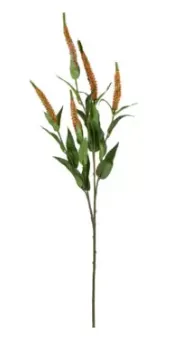 HASTE BRILLIANCE VERONICA LARANJA MX305 70CM(BL)
