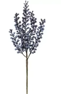 HASTE BRILLIANCE BLUEBERRY AC201 44CM(BL)