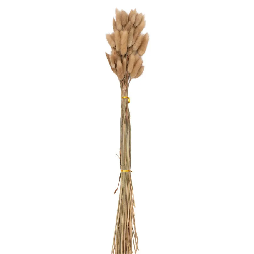 BUQUE VERTI RABO DE COELHO 8345 BRANCO 50CM(BL)